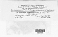 Image Associated With the Occurence